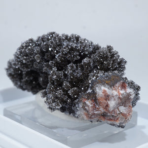 モロッコ産　Goethite (針鉄鉱)・水晶