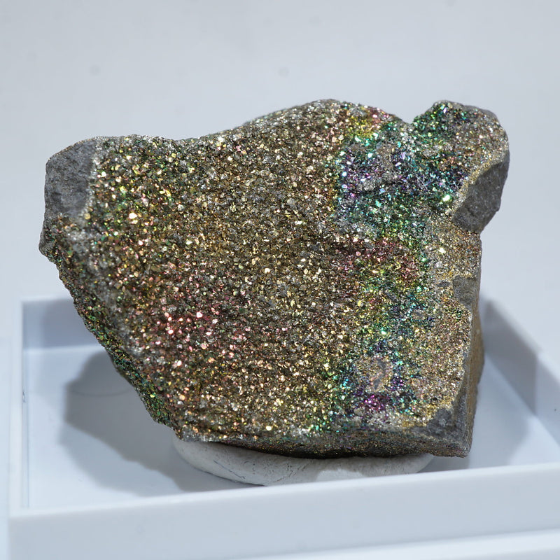 レインボー黄鉄鉱 92479-2_800x.jpg?v=1712129405