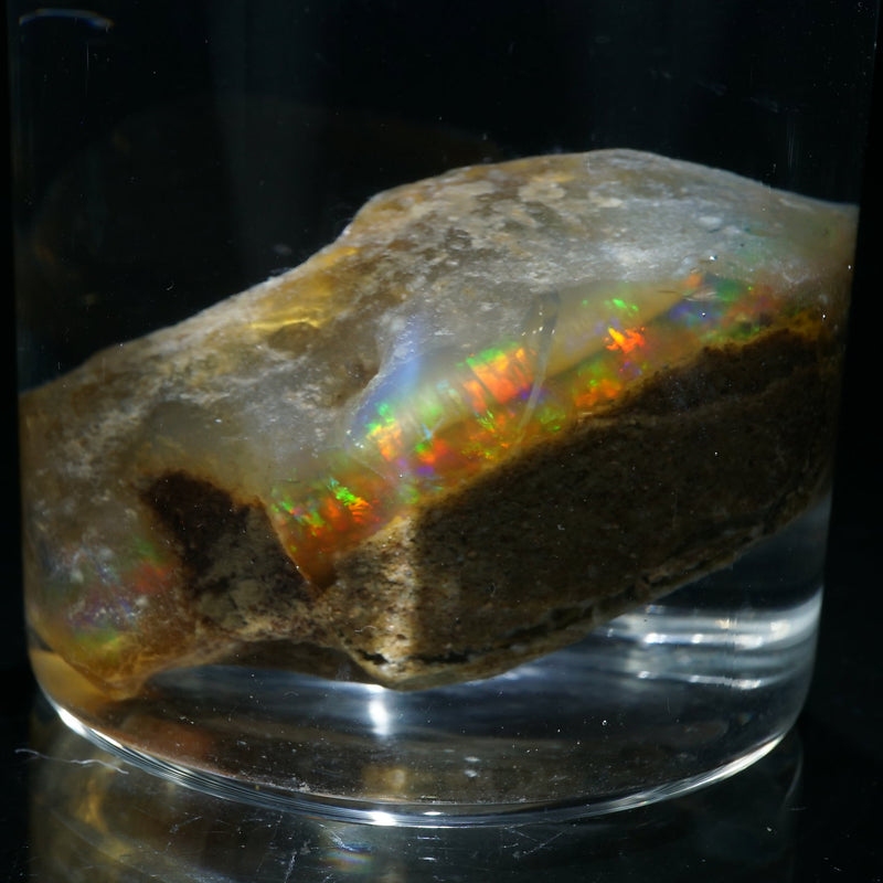 93106-1_800x.jpg?v=1695628890