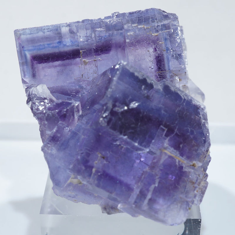 95413-14_800x.jpg?v=1686109143 95413-14_800x.jpg?v=1686109143