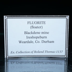 イギリス Blackdene Mine産 フローライト
