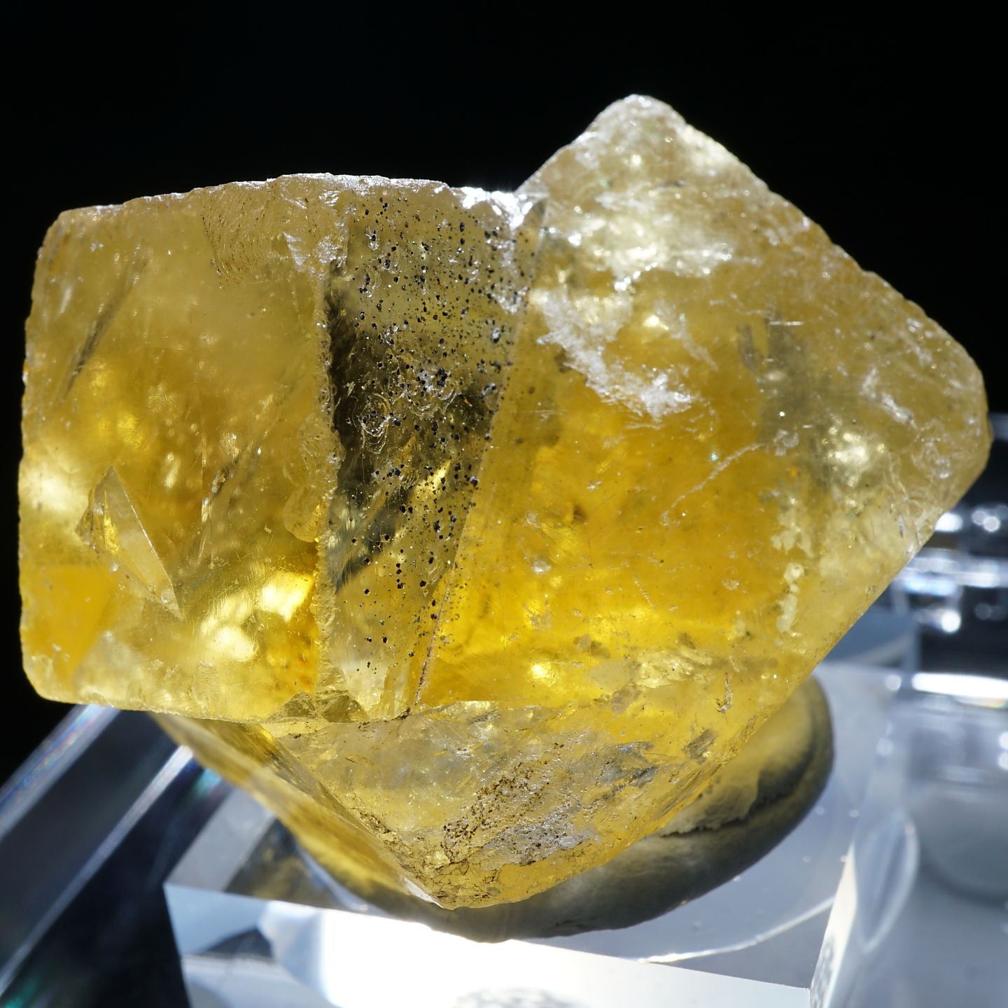 95478-4_1440x.jpg?v=1690185600