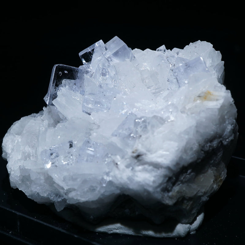 95532-4_800x.jpg?v=1695626490