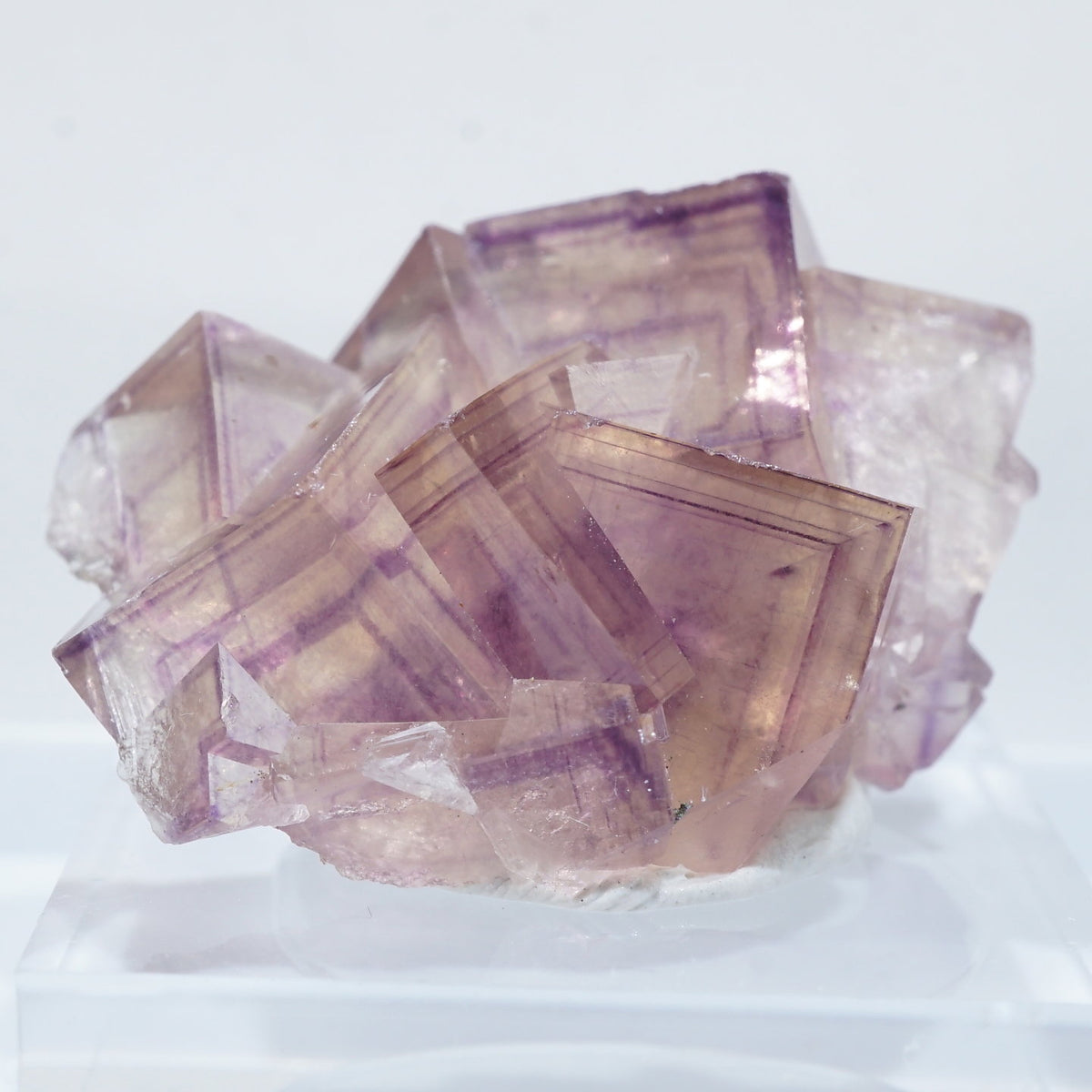 95567-2_1200x1200.jpg?v=1697435804