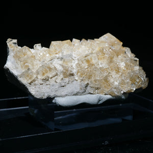 アメリカ・オハイオ州 White Rock Quarry産 フローライト
