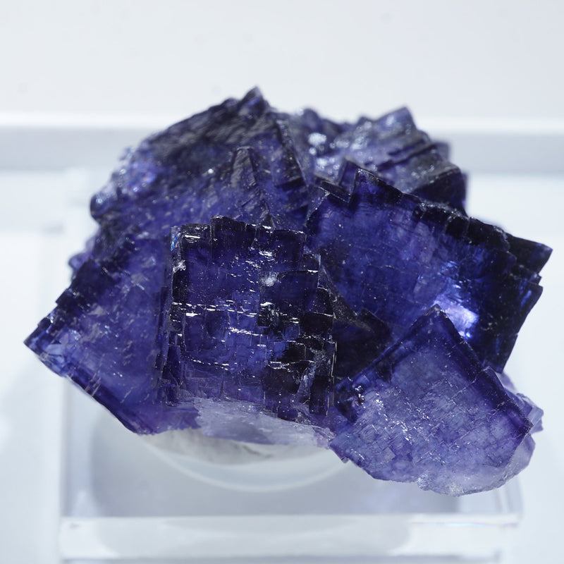 テネシー州エルムウッド鉱山産 フローライト – 天然石ハッピーギフト