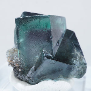 イギリスFairy Holes Pocket Lady Annabella(レディアナベラ) Mine産