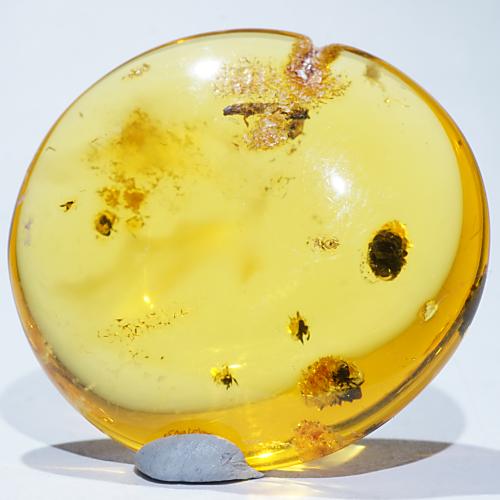 ドミニカ産 琥珀 約4g – 天然石ハッピーギフト