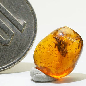 バルト海産 虫入り琥珀 約0.3g – 天然石ハッピーギフト