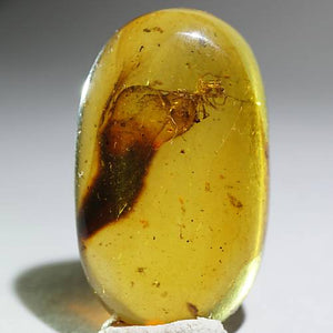 ミャンマー産虫入り琥珀 – 天然石ハッピーギフト