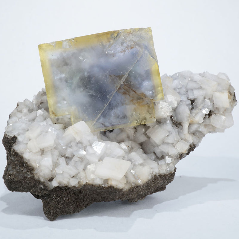 26749-c1_800x.jpg?v=1655883152