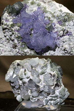 ポルトガル Panasqueira Mine産 アパタイト・水晶・硫砒鉄鉱など6種の共生鉱物