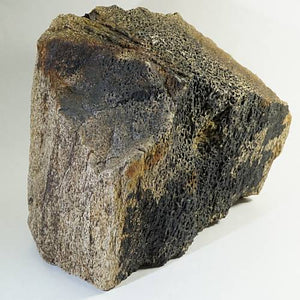 〈大珍品〉証明書付き トリケラトプス 角の化石