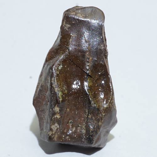 トリケラトプス 歯の化石 (約17ミリ)
