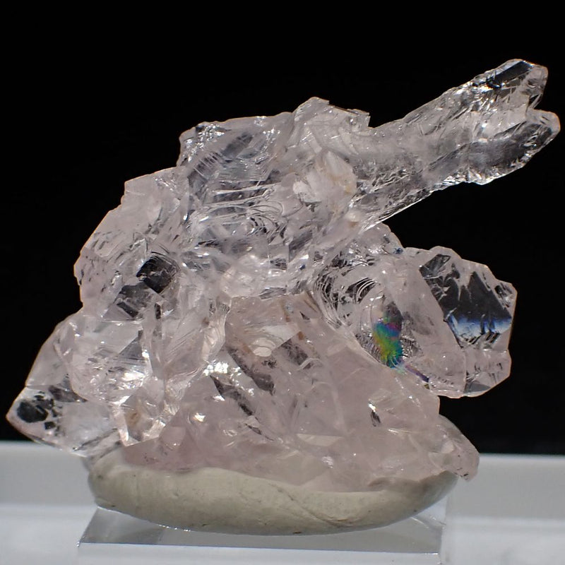 90057-01_800x.jpg?v=1624105600