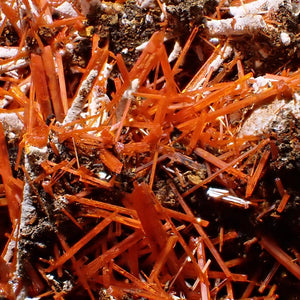 オーストラリア産 Crocoite (紅鉛鉱)