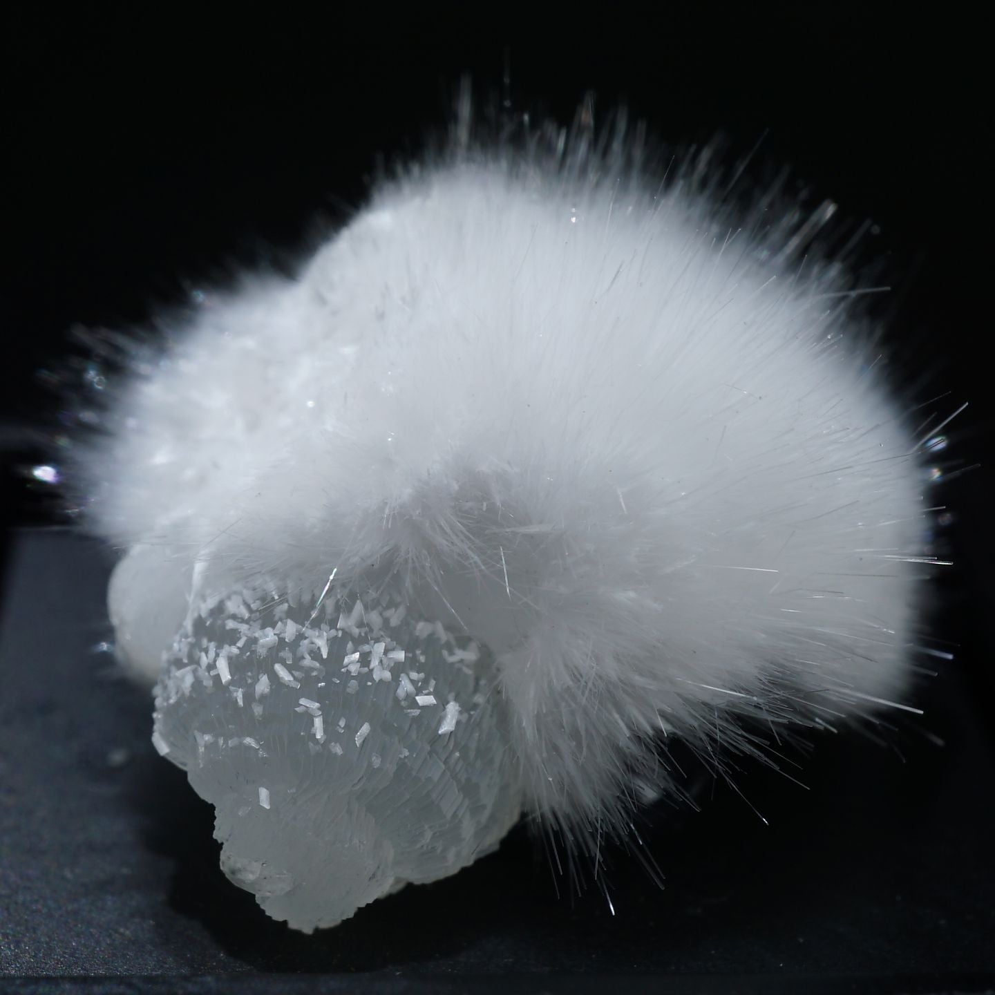 90219-c1_1440x.jpg?v=1630479345