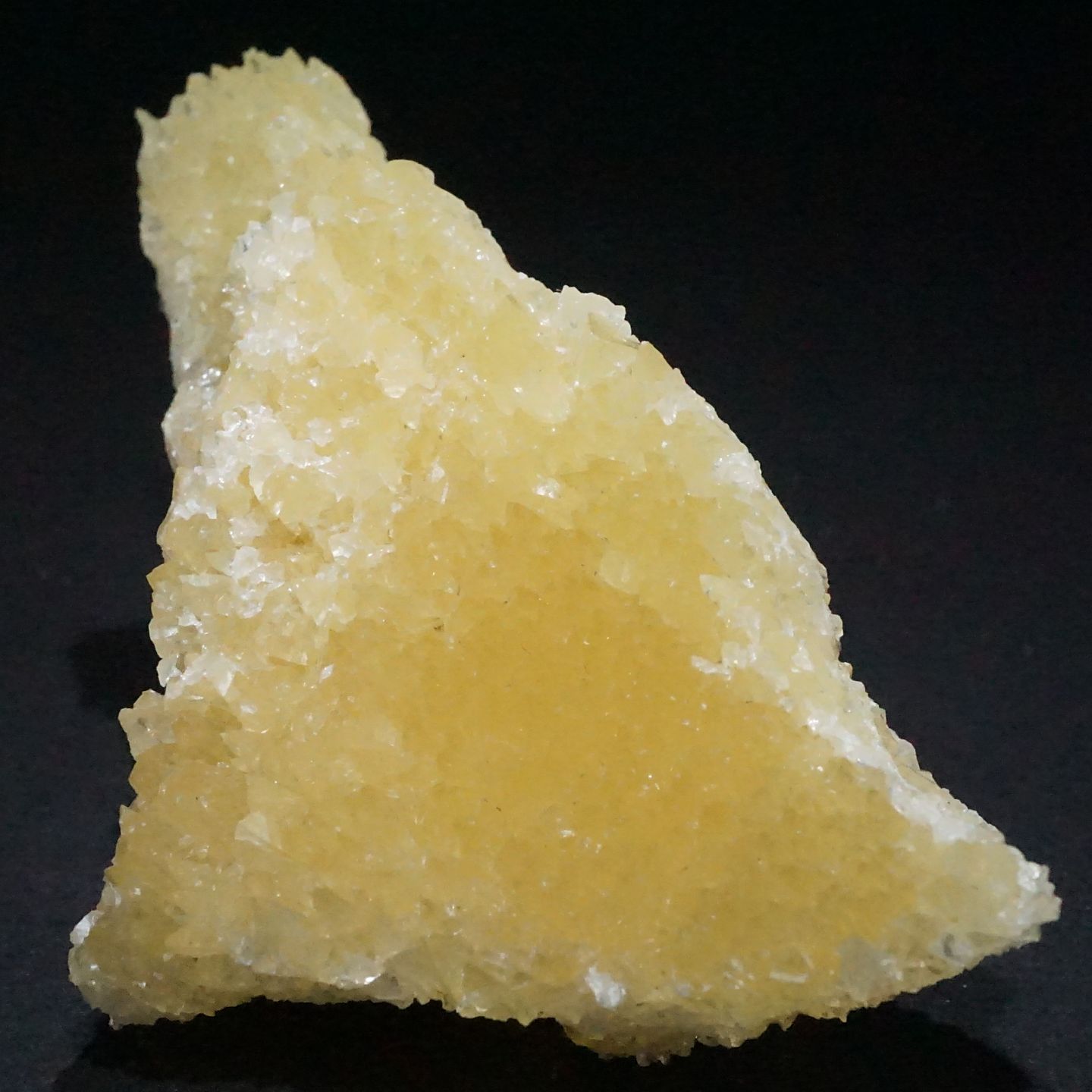 貝付きイエロー 燐光カルサイト 貝付きイエロー 燐光カルサイト 🌞静かなる光の記憶 ─ イエローカルサイト