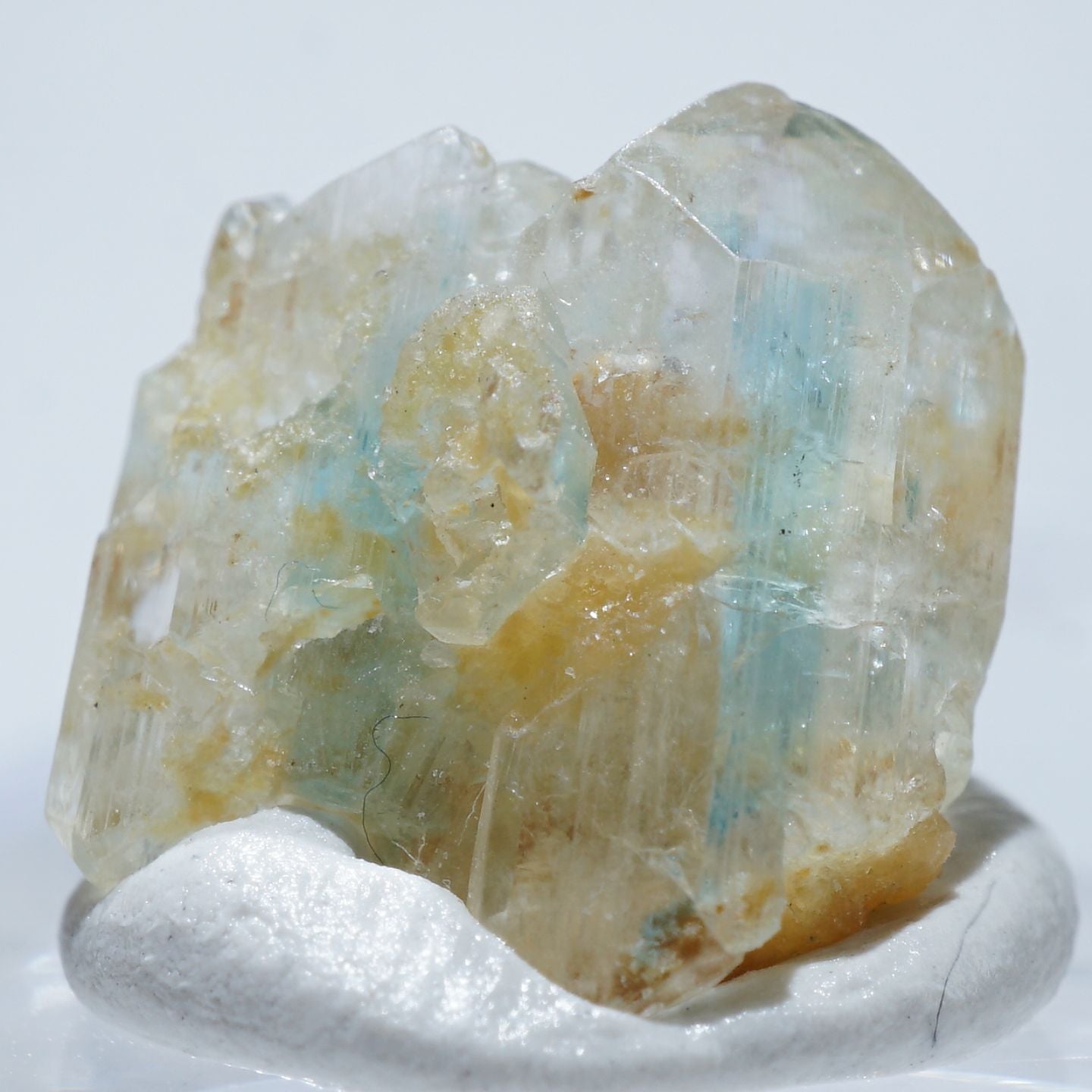 90598-c1_1440x.jpg?v=1645774632