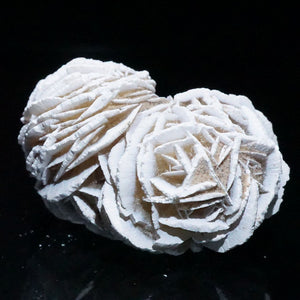 メキシコ産 砂漠のバラ(デザートローズ) 石こう 双子