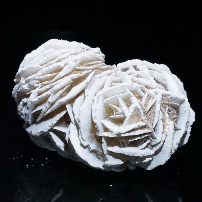 メキシコ産 砂漠のバラ(デザートローズ) 石こう 双子 – 天然石 