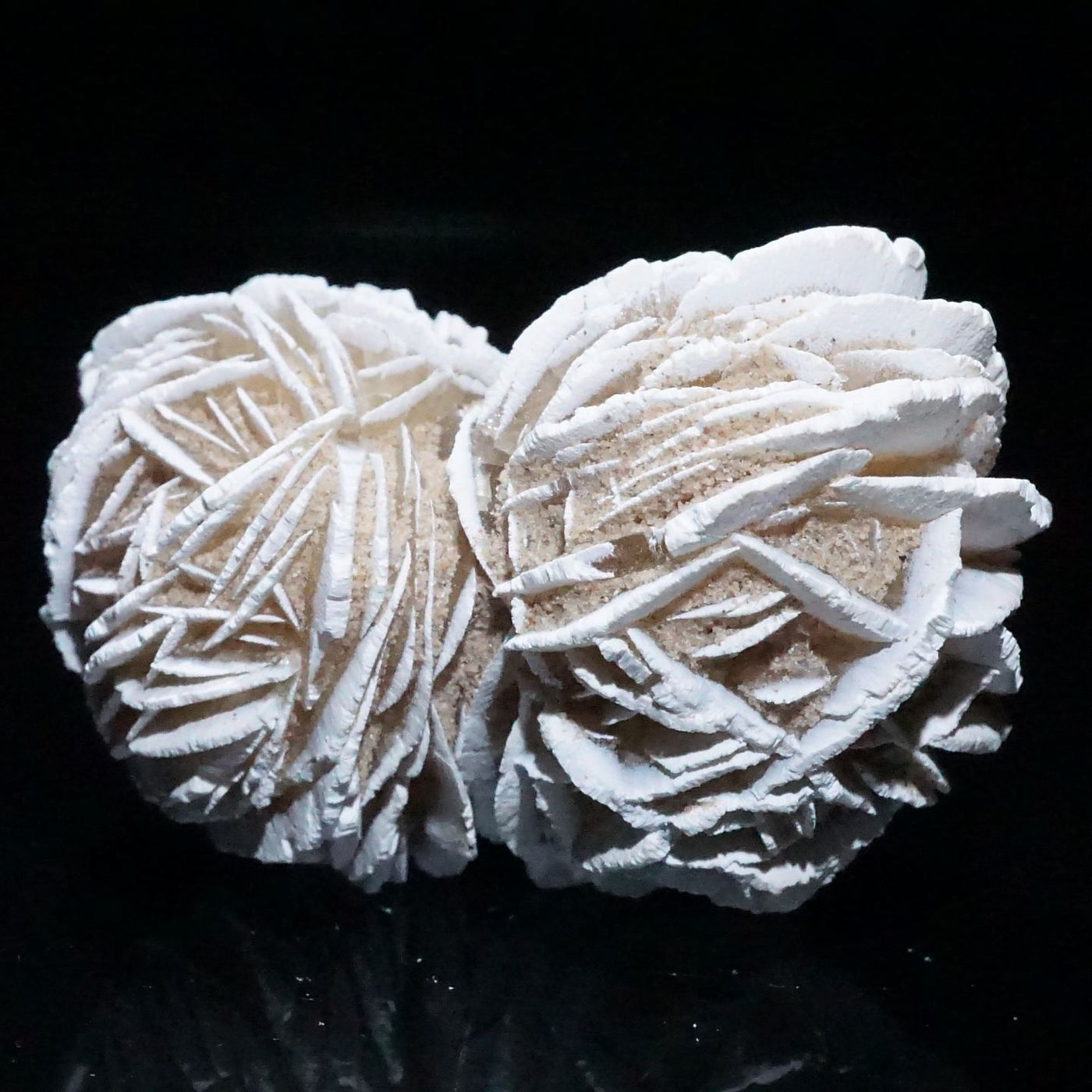 メキシコ産 砂漠のバラ(デザートローズ) 石こう 双子 – 天然石ハッピー