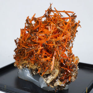 オーストラリア産 Crocoite (紅鉛鉱)