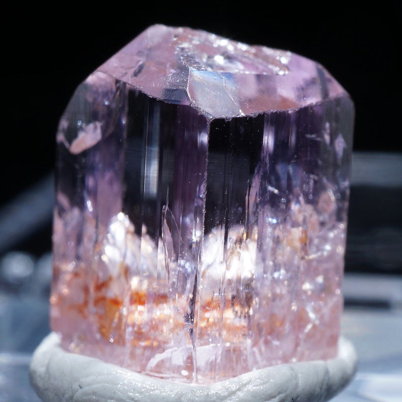 91001-c1_800x.jpg?v=1664523508