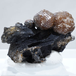イギリス産 Campylite(カンピ石)