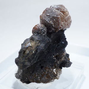 イギリス産 Campylite(カンピ石)