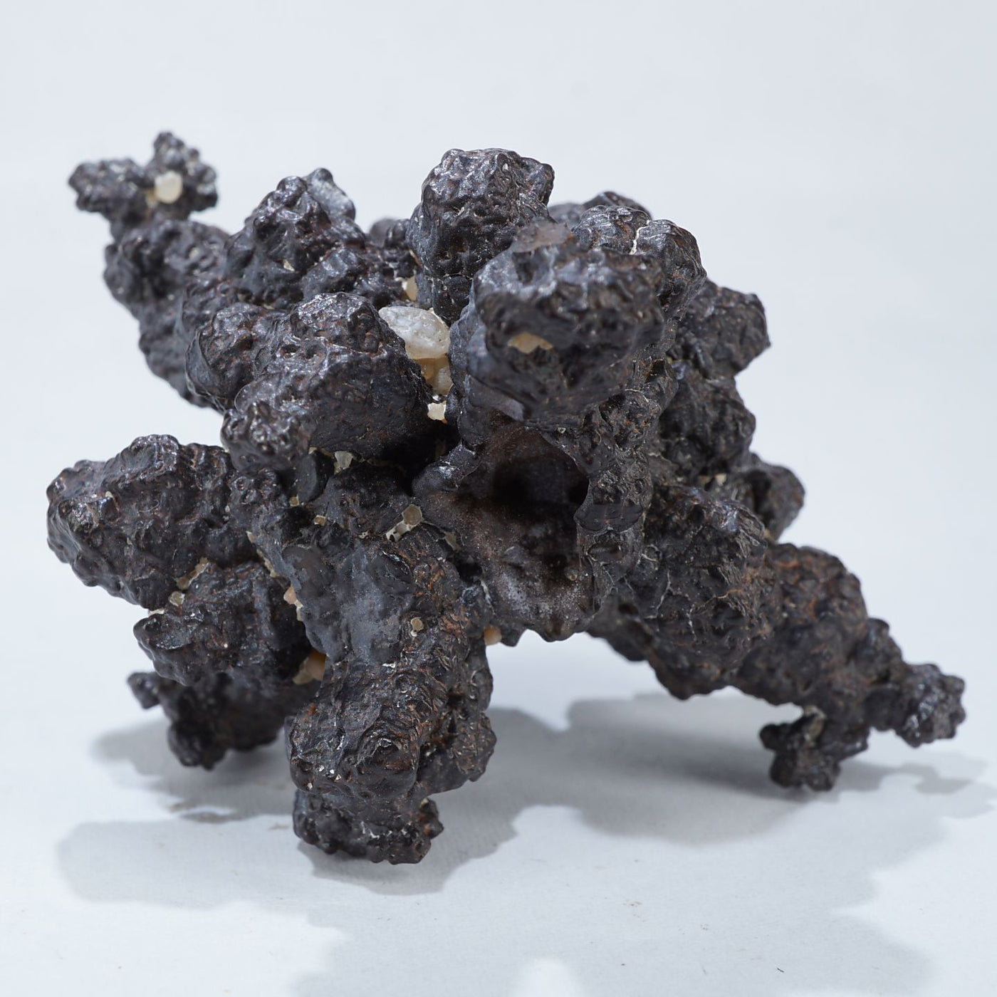 エジプト産 褐鉄鉱(Zストーン) – 天然石ハッピーギフト