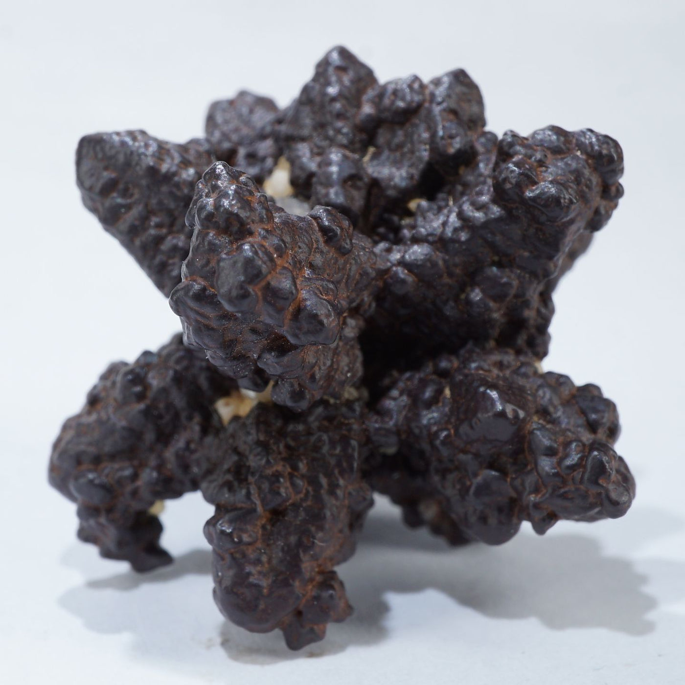 エジプト産 褐鉄鉱(Zストーン) – 天然石ハッピーギフト