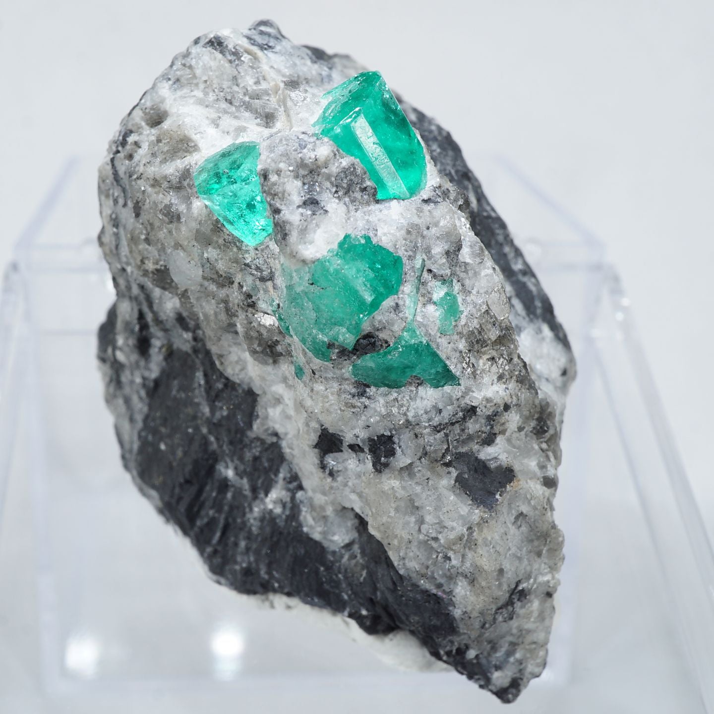 91333-7_1440x.jpg?v=1676013319