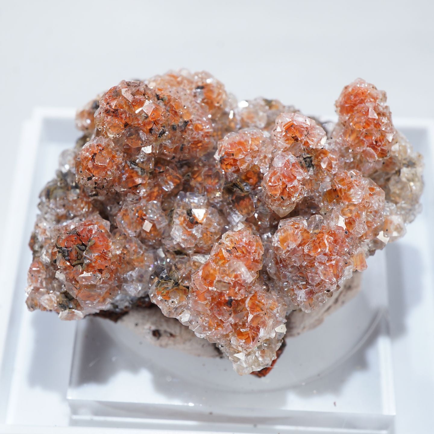 91398-2_1440x.jpg?v=1677137599