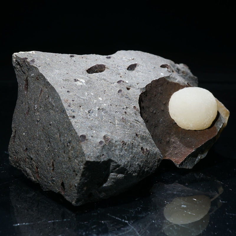 91514-5_800x.jpg?v=1680055866