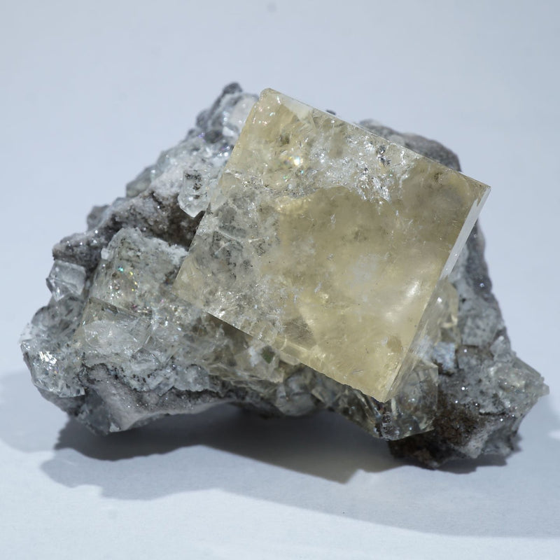 94549-c0_800x.jpg?v=1649919098