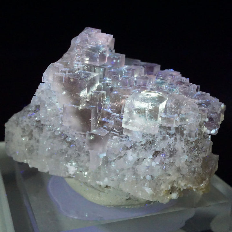 イリノイ州 Cave in Rock産 蛍光八面体フローライト 約6g |ハッピー