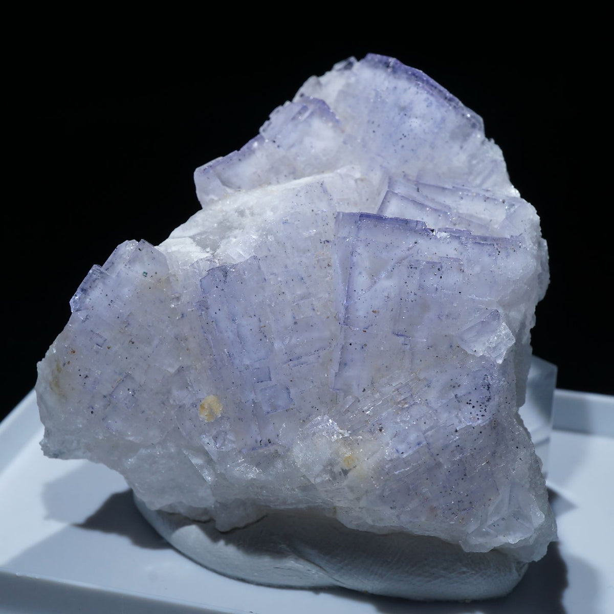 イタリア サルディーニャ産 フローライト – 天然石ハッピーギフト