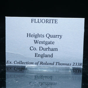 イギリス Heights Quarry産 フローライト