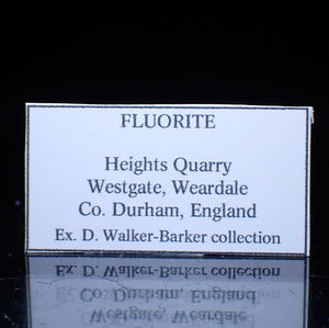 イギリス Heights Quarry 産 フローライト
