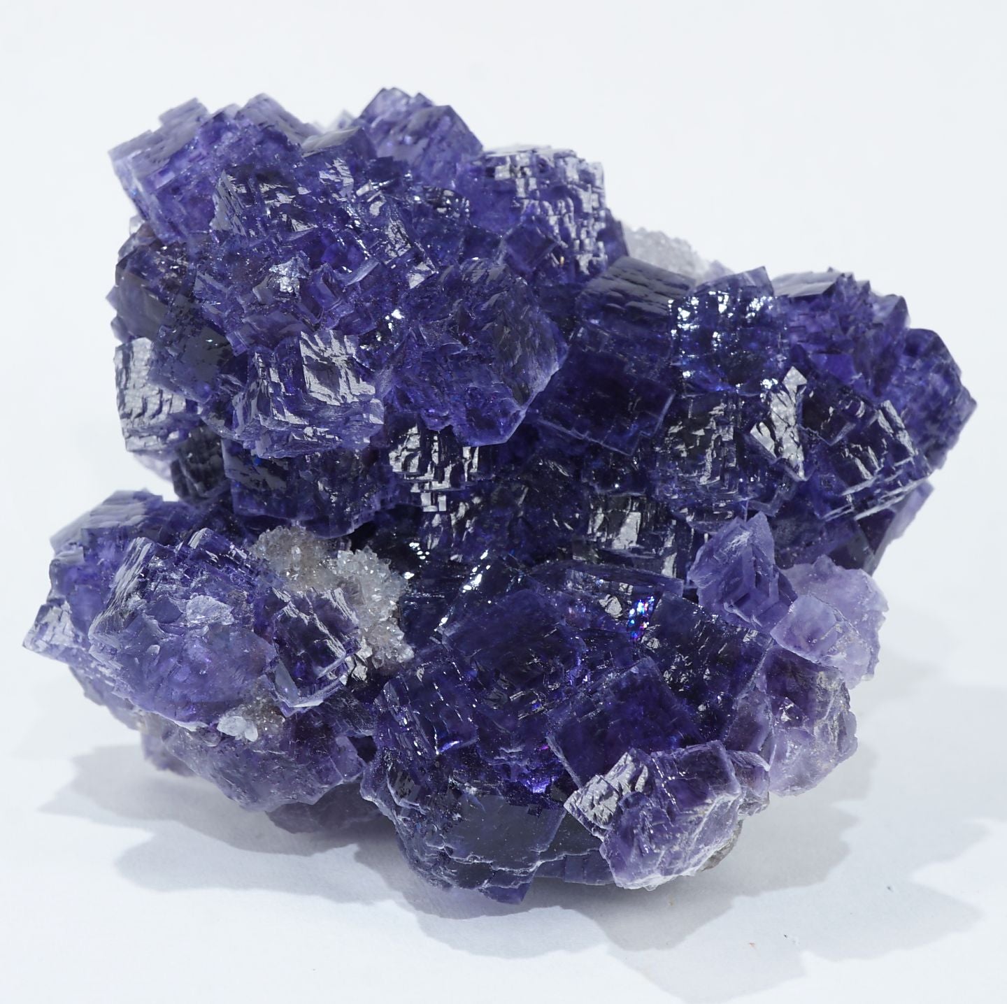 95308-1_1440x.jpg?v=1681974861