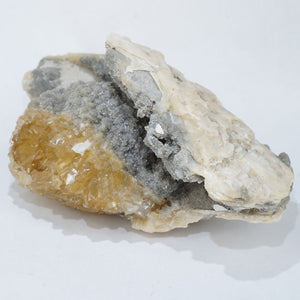 《蛍光》アメリカ・フロリダ州産 二枚貝の化石・カルサイト