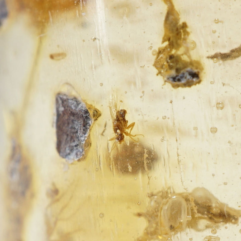 98029-c3_800x.jpg?v=1713945755