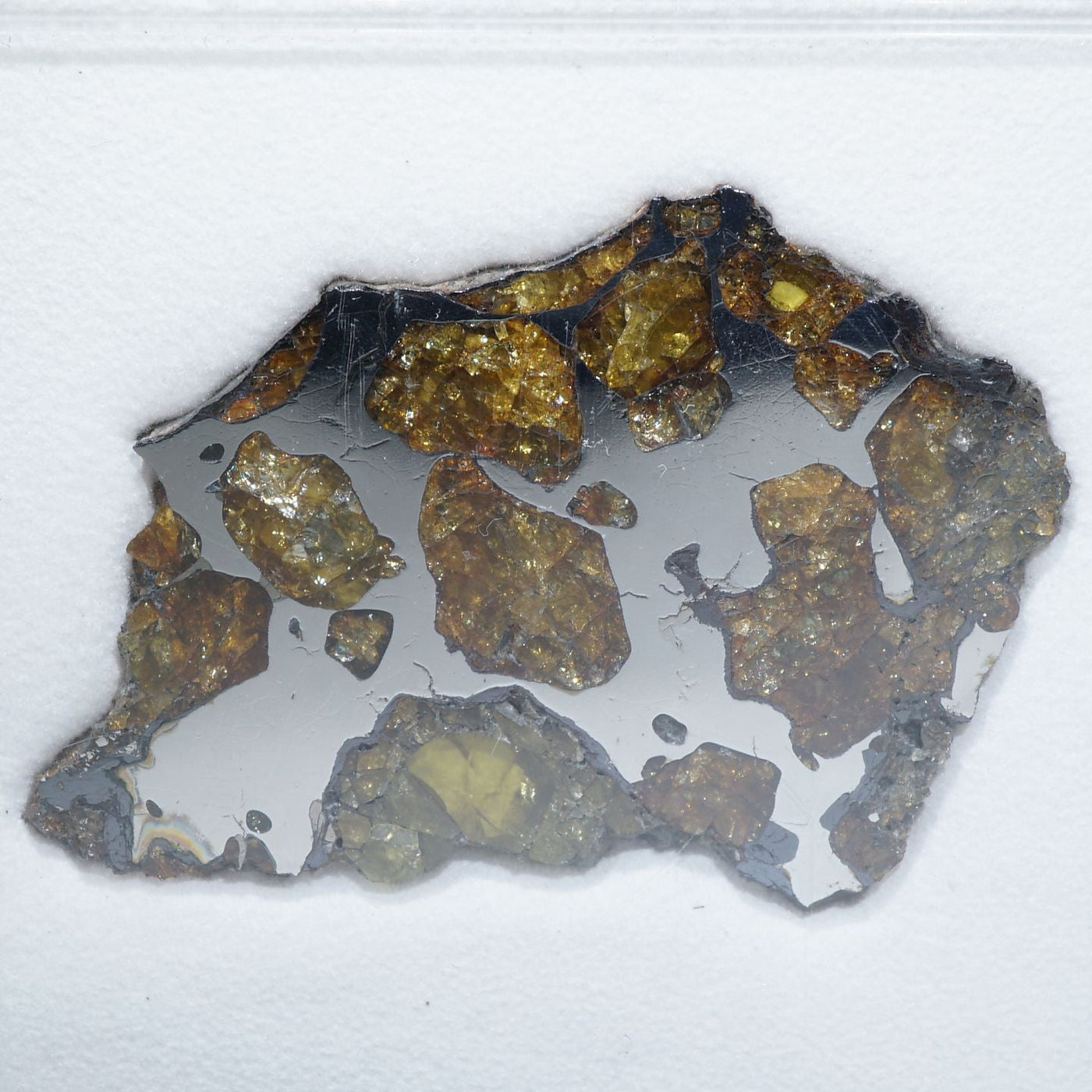 太陽&12芒星 パラサイト隕石　セリコ隕石　45.7㍉パラサイト　隕石　極上品質