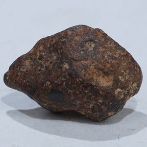 モロッコ産 アグダル隕石