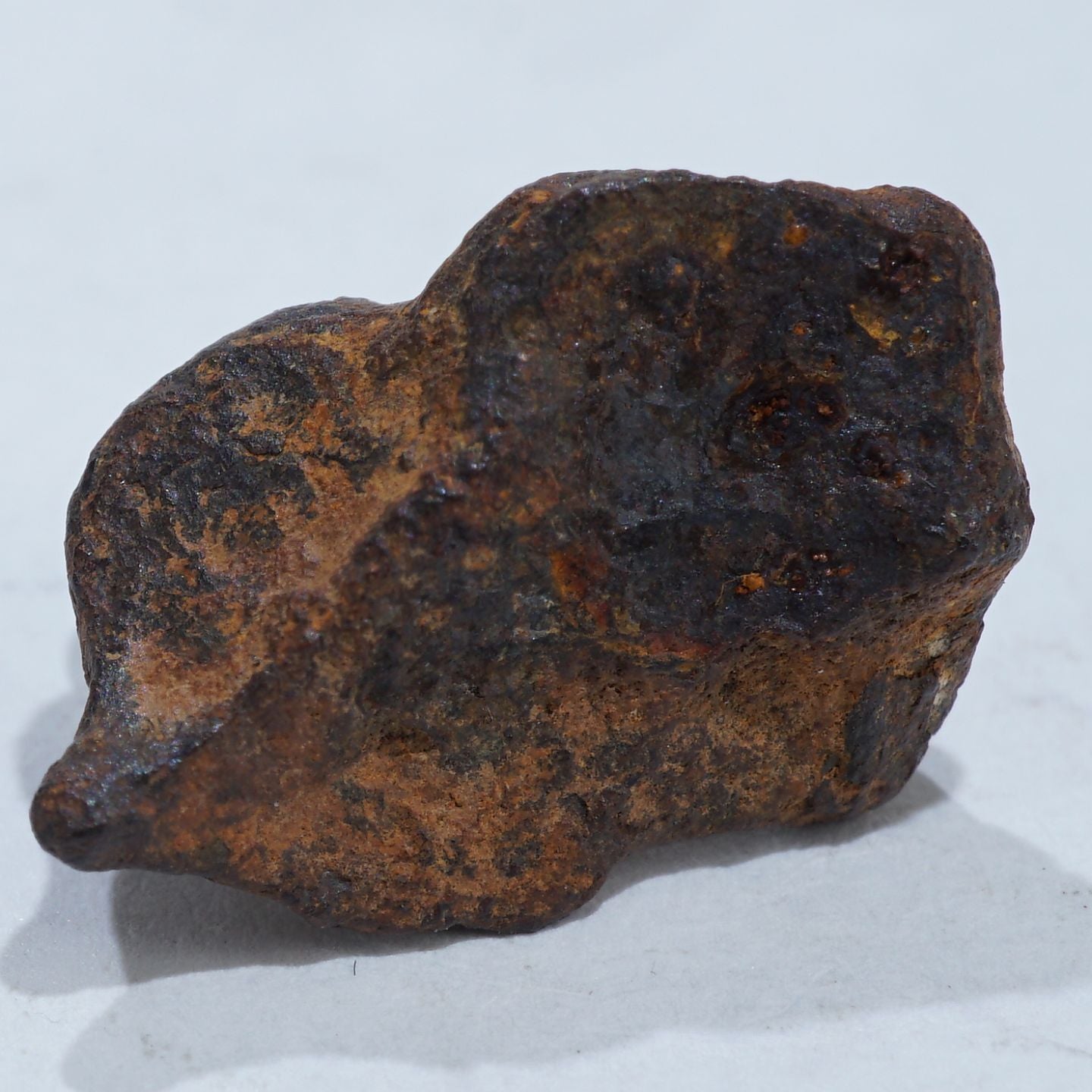 アグダル隕石 42g NO.435 【公式通販】