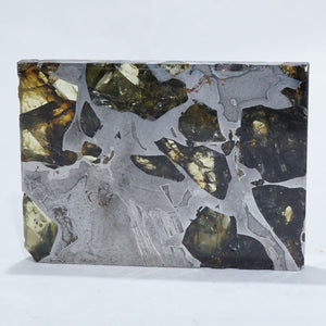 ロシア産 パラサイト隕石(Seymchan）約7.8ｇ