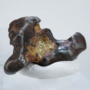 《希少》チリ産 パラサイト隕石(lmilac）