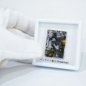 ロシア産 パラサイト隕石(Seymchan）約8.7ｇ